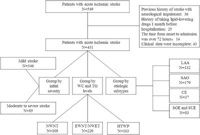 Hypertriglyceridemic waist phenotype: Association with initial neurological severity and etiologic subtypes in patients with acute ischemic stroke